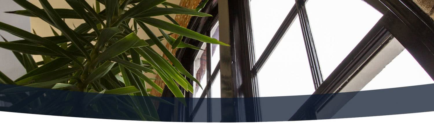 HOM Law interior with window and plant