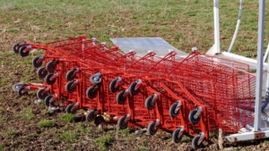 red shopping carts laying down