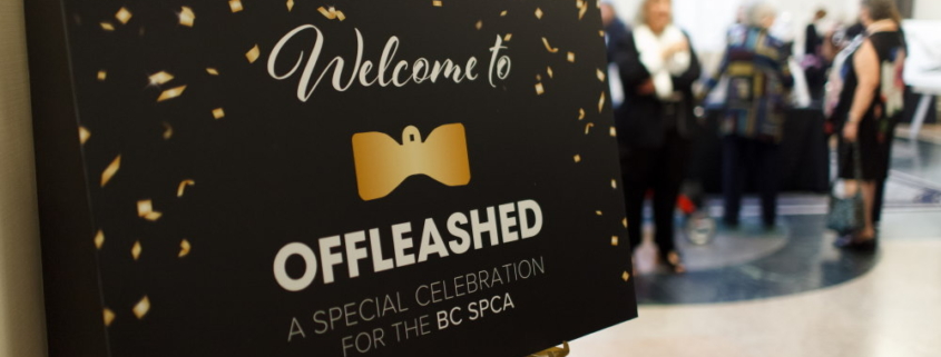 Offleashed Victoria Gala sign