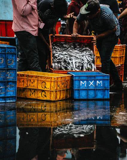 workers in the fishing industry